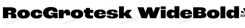 RocGrotesk WideBold字体转换